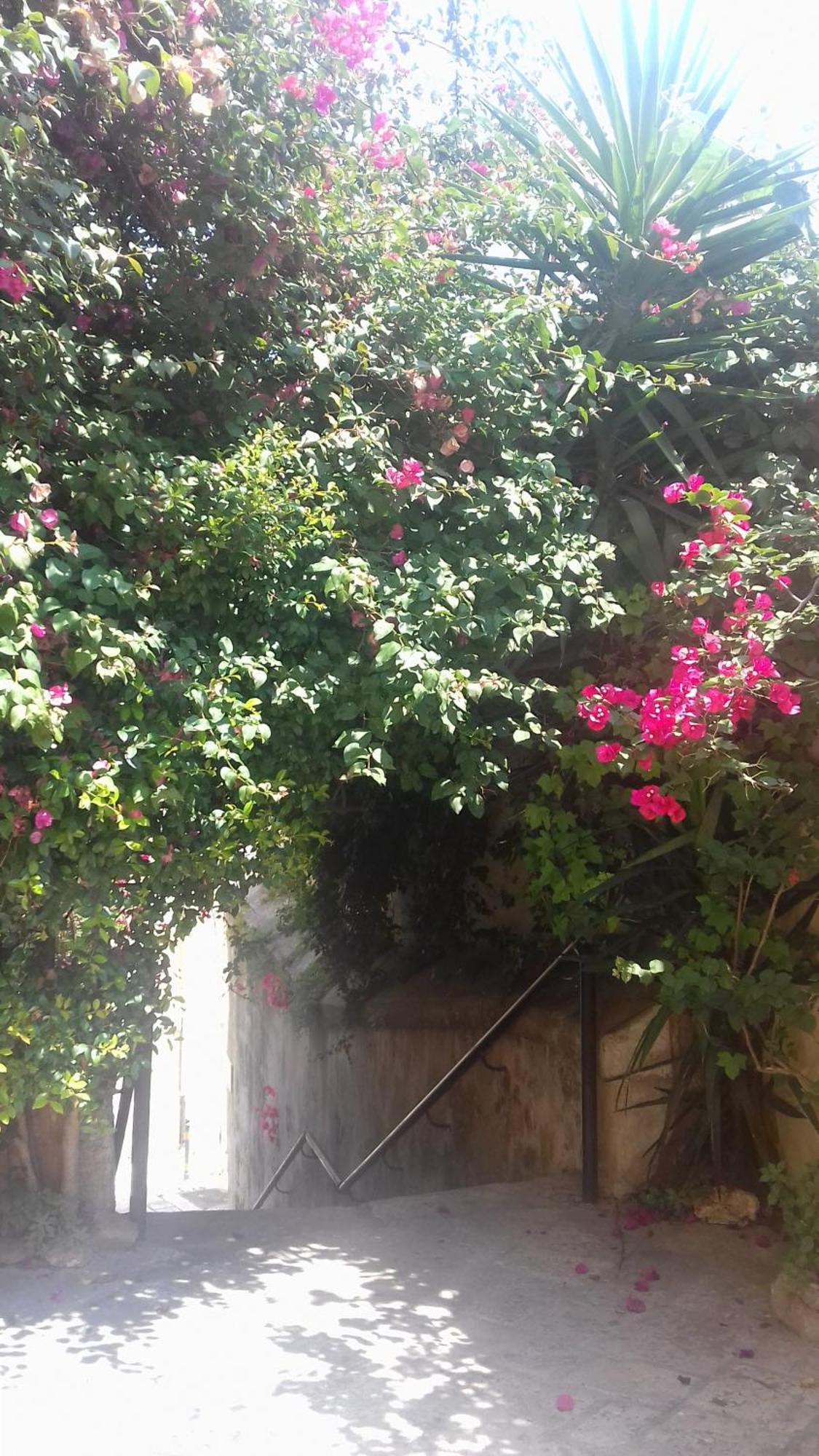Antonella Home Brindisi Exterior foto